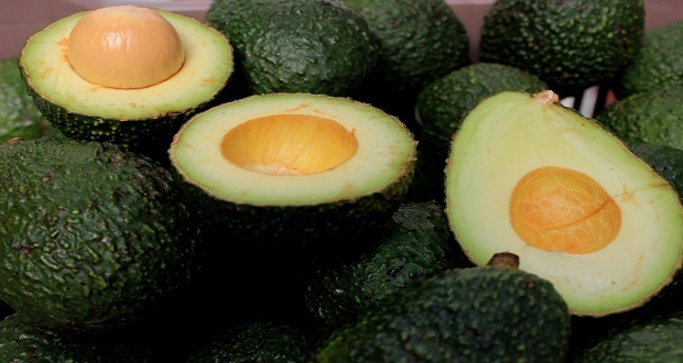 Gobierno estatal destina más de 8 mdp a la producción de aguacate