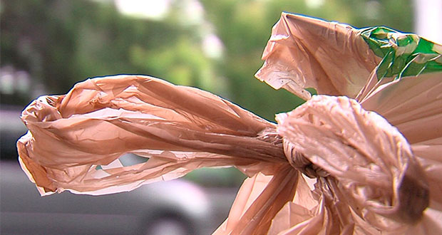 Plantean a IP implementar biodegradables por prohibición de plásticos