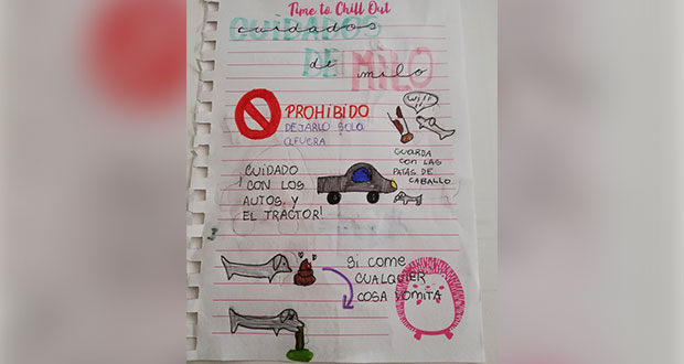 Sobrina le deja a tía encargado a su perro… con todo e instrucciones