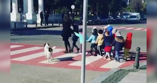 Estos son los consejos de la SICT para seguridad vial de niños