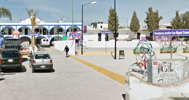Suman casi 60 perros muertos por envenenamiento en Canoa