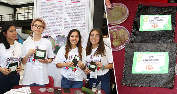 Alumnas del IPN crean bioplástico 100% degradable a base de pepino