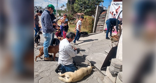 Antorcha lleva campaña de esterilización canina a San Aparicio