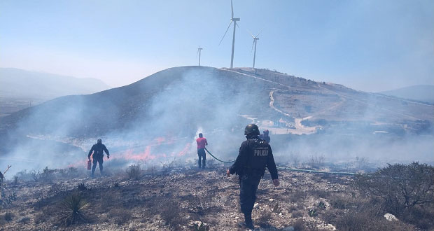 Comuna de Cañada Morelos sofoca incendio forestal en La Herradura