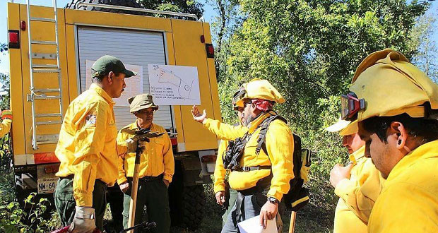 Conafor apertura 569 km de brechas contra incendios forestales