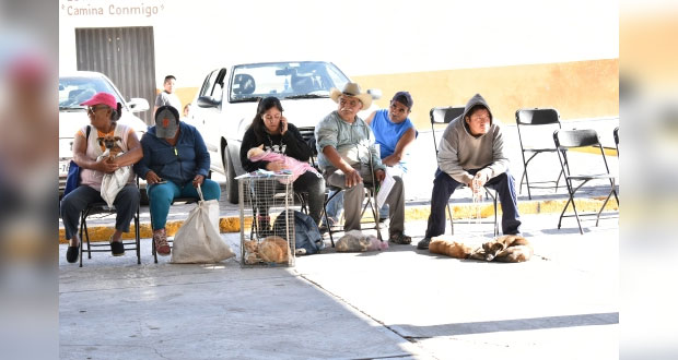 Comuna de Ixcaquixtla promueve esterilización de mascotas con campaña
