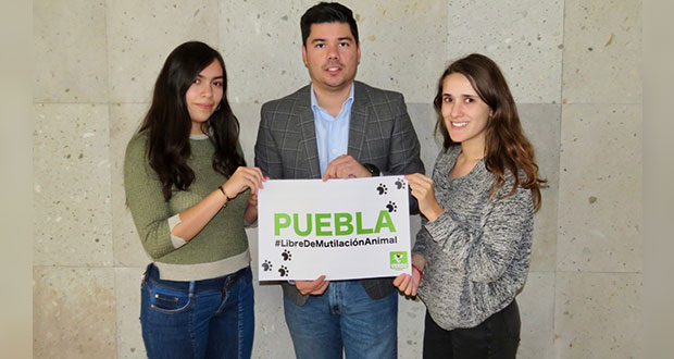 Partido Verde logra prohibir las mutilaciones animales en Puebla