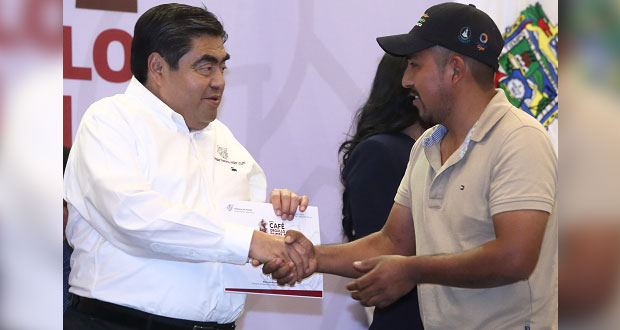Barbosa anuncia inversión de 200 mdp para apoyar el café en Puebla