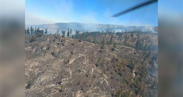 Controlan 4 incendios, apagan dos y 4 más siguen activos