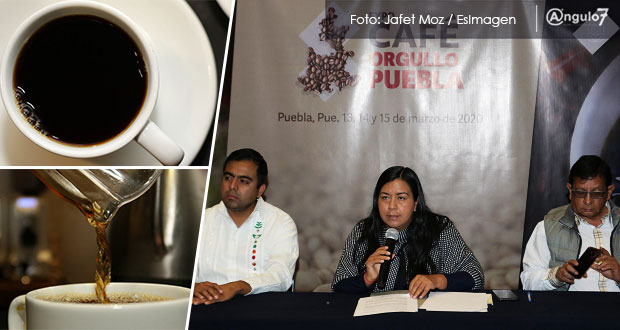 Baja producción de café en 26 municipios de Puebla por falta de apoyos