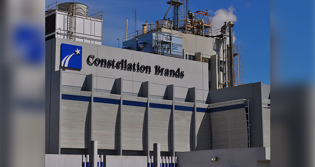 En Veracruz, Constellation Brands invertirá mil 300 mdd en cervecera