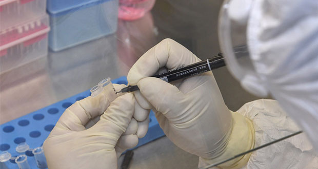 Descubren existencia de dos tipos de Covid-19; uno, más contagioso