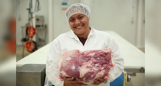 Realizan inspecciones sanitarias a cargamentos de comida en México