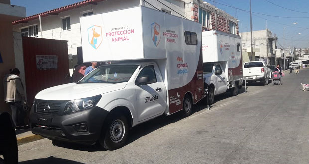 Llevan jornada para esterilización de mascotas a la 2 de Marzo