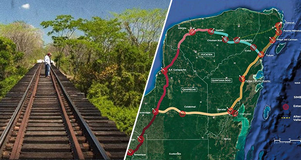 Siembran 142 millones de árboles en ruta del Tren Maya en 5 estados