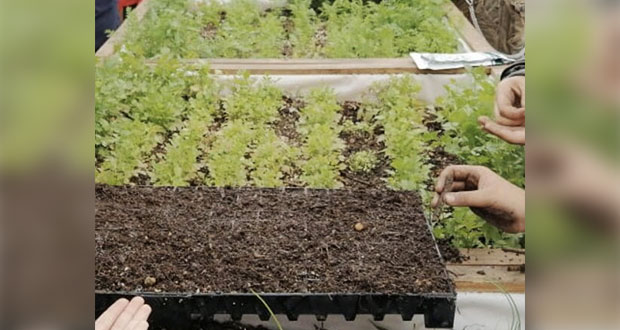 SEP busca que cuidado del ambiente se enseñe en todos los niveles