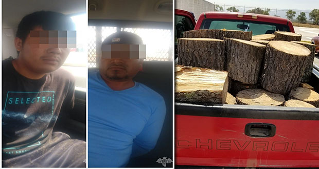 SSP asegura a dos por presunta tala ilegal de árboles en Nopalucan