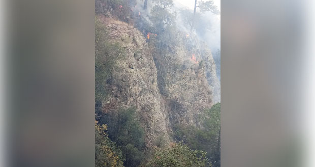 En 2020, van 196 incendios forestales en 51 municipios de Puebla