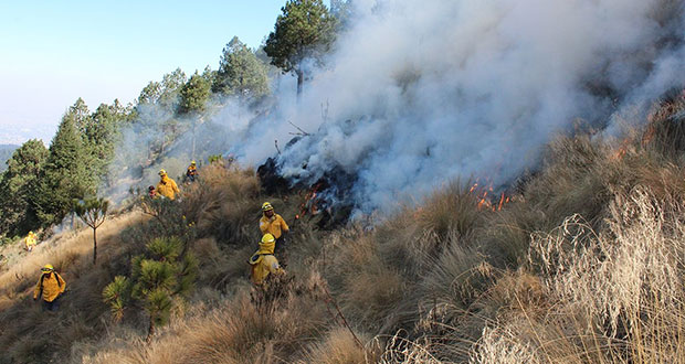 Suman 32 incendios activos en 11 estados; nueve, en áreas protegidas