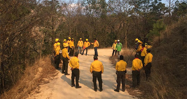 Conafor combate 29 incendios forestales activos en México