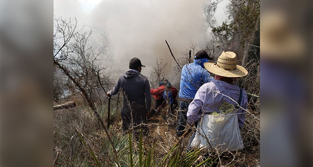 Puebla registra más de 150 incendios forestales durante 2020: Segob