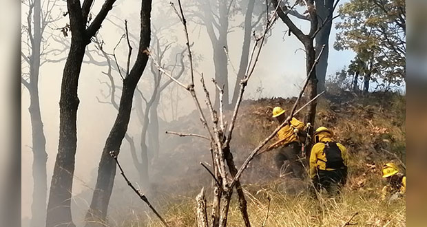 PC reporta 33 incendios activos; en Tepozteco, control del 60%