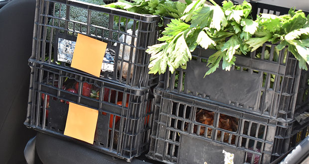 “Plox” entrega comida y verdura a domicilio en Tehuacán por Covid