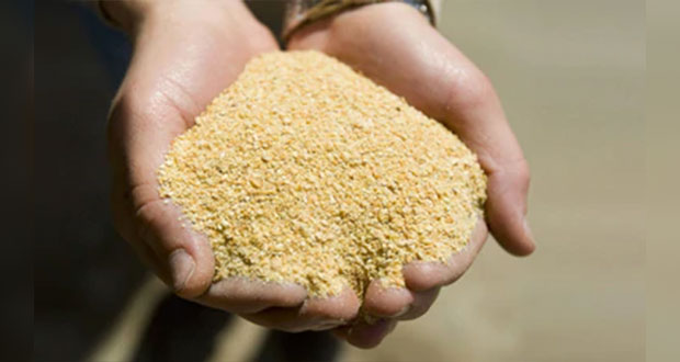 México capta 3,500 mdp por exportar harinas y aceites de pescado