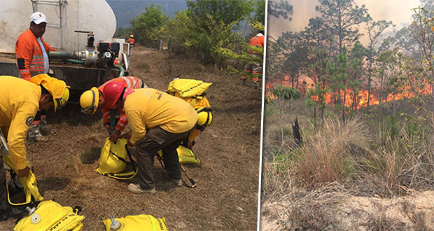 Activos 37 incendios forestales; auxilian 1,022 combatientes