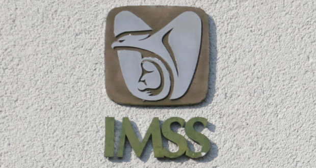 Por vía remota, registros y pagos de incapacidades maternas del IMSS