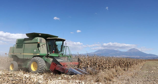Actividades agropecuarias continuarán durante contingencia: SDR
