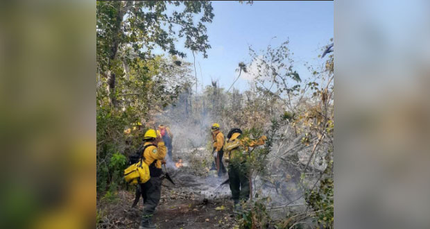 En México, se registran 86 incendios forestales activos