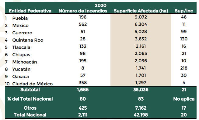 Con 9 mil hectáreas dañadas por incendios forestales, Puebla es 1er lugar