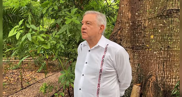 Cambio debe seguir; voto para revocación, en 2022: AMLO a detractores