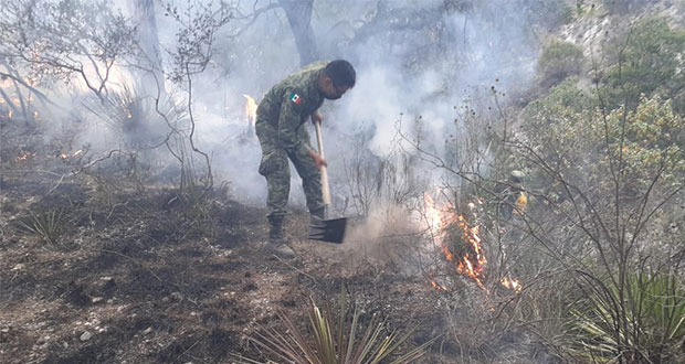 Ejército va a Xicotepec de Juárez para sofocar incendio forestal