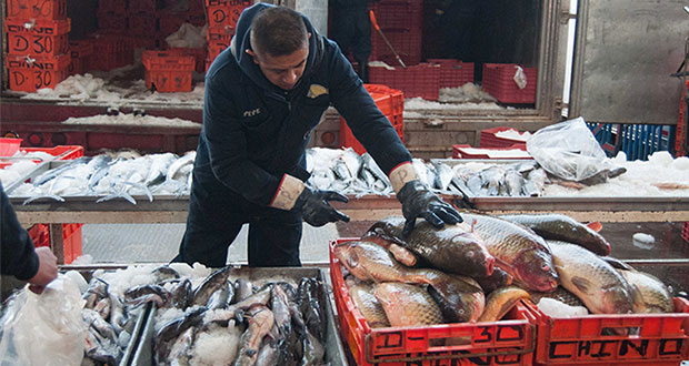 En abril, Sader retiene 178.8 toneladas de pesca presuntamente ilegal