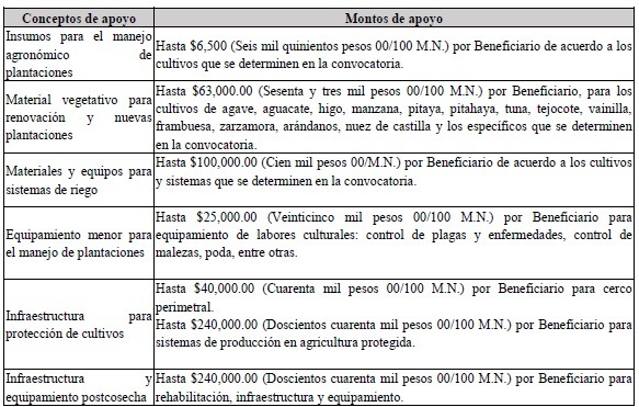 Programa Recuperación del Campo Poblano dará hasta 5 mdp por proyecto