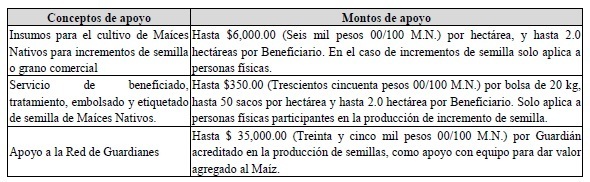 Programa Recuperación del Campo Poblano dará hasta 5 mdp por proyecto
