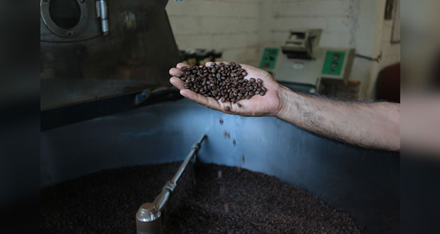 19 de junio, límite para buscar apoyos si eres caficultor en Puebla