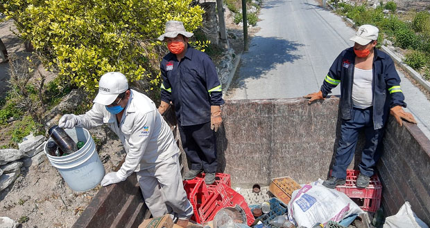 Comuna de Tepexi recolecta material que podría ser foco de dengue
