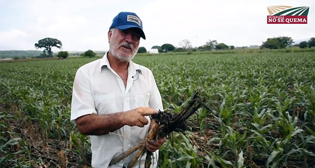 Con “Mi parcela no se quema”, buscan promover agricultura sostenible