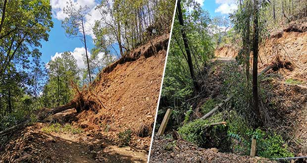 Tala bloquea flujo de agua y crea riesgo de deslaves en cerro de Tetela