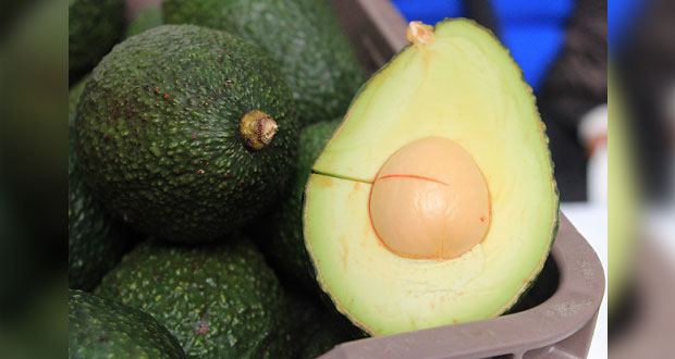Productores agrícolas de Puebla podrán acceder a apoyos de la SDR