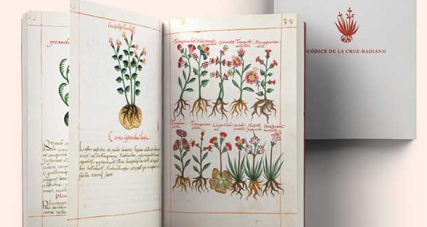¿Te gusta la Historia? Mira el códice herbolario más antiguo de México