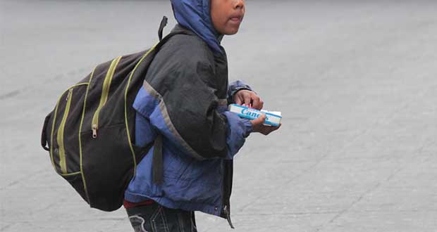 Ciudadanos podrán denunciar trabajo infantil en calles y cruceros
