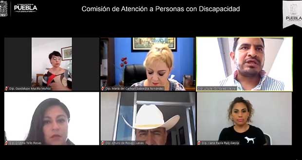 Gobierno debe garantizar trabajo del Instituto de la Discapacidad