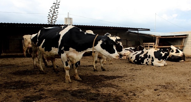 SDR invierte 84.3 mdp en 23 programas de sanidad agroalimentaria