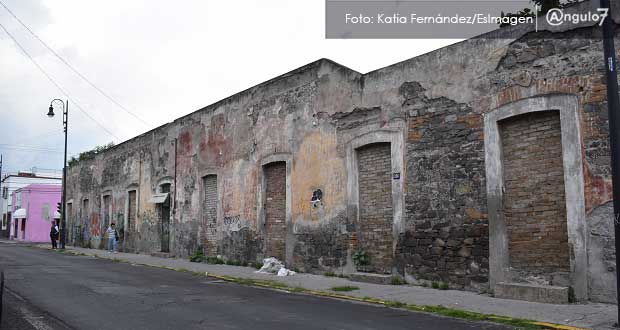 En pie, plan de repoblación en CH; interesados deben impulsar proyectos: Comuna