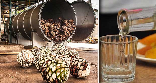 Tequila Don Ramon quiere poner destiladora de mezcal en Puebla