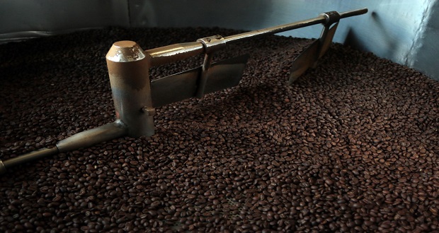 SDR presenta plan para recuperar cafeticultura poblana